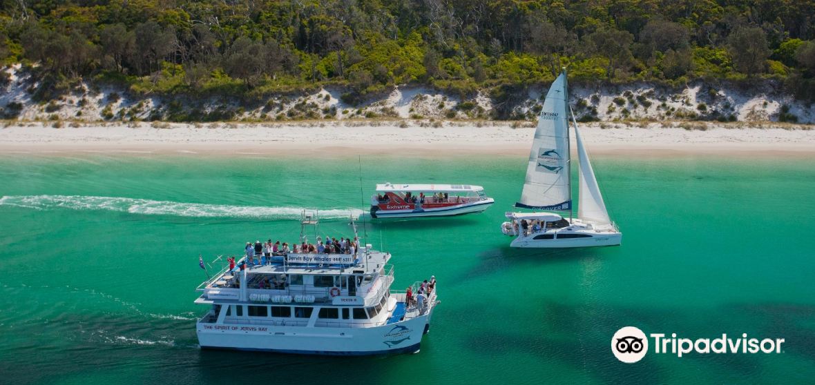 Huskisson Travel Guide 2024 Things to Do, What To Eat & Tips