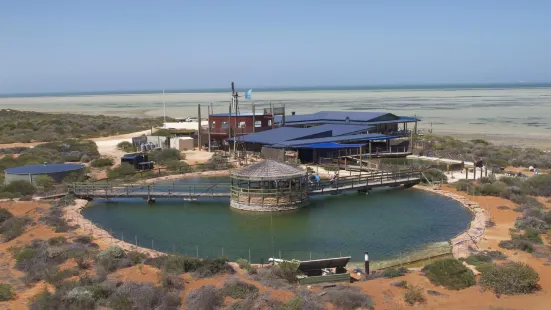 オーシャン・パーク水族館