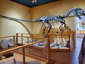 Glenrock Paleon Museum