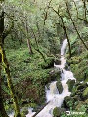 Cataract Falls