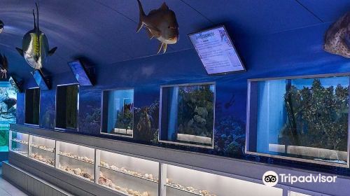 Sea Aquarium Bergen Aan Zee