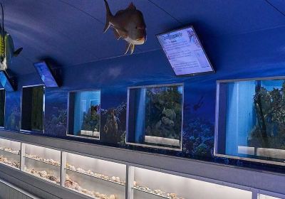 Sea Aquarium Bergen Aan Zee