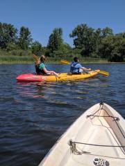 Gallup Park Canoe & Kayak