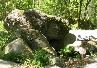 Dolgarrog