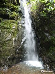 Sendero Ecológico Las Brumas