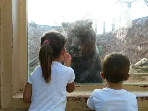 Parque Zoologico Prudencio Navarro