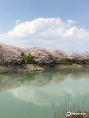 Sakanaigawa Water Park