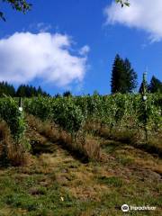 Helvetia Vineyards & Winery