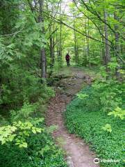 Mountain Bike Adventure Park