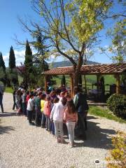 Azienda Agricola Fior Di Montalcino