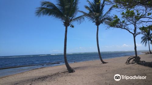 Plage de l'Autre Bord