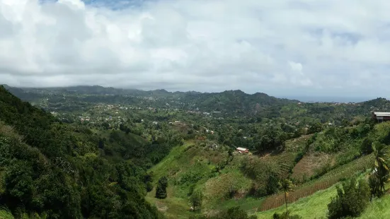 Belmont Lookout