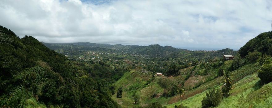 Belmont Lookout