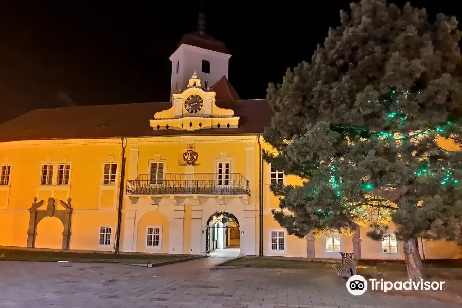 Castle Strakonice