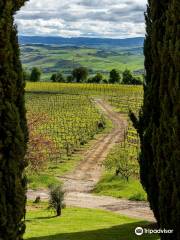 Azienda Agricola Patrizia Cencioni - Brunello di Montalcino Winery