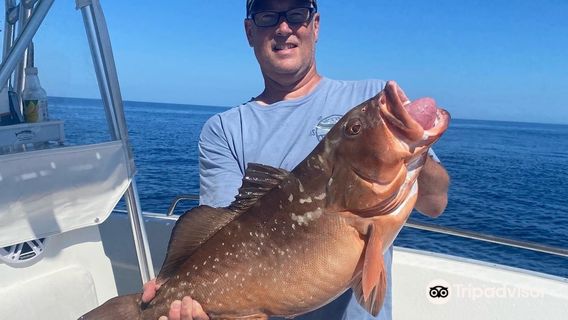 Salty Dog Charters