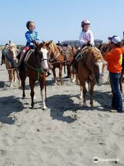 Chenois Creek Horse Rentals