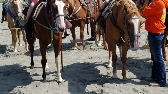Chenois Creek Horse Rentals