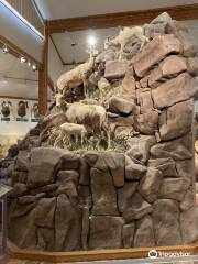 National Bighorn Sheep Center