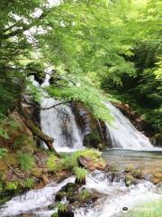 大分男池湧水群