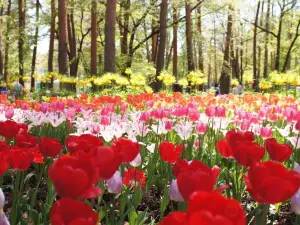 Shinshu Sky Park