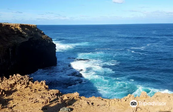 開普布瑞吉維特