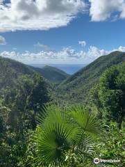 Reef Bay Trail