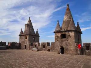 Castle of Santa Maria da Feira