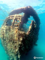 SUBEX Red Sea Diving Center