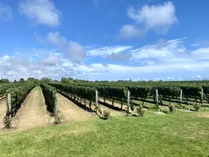 Wölffer Estate Vineyard