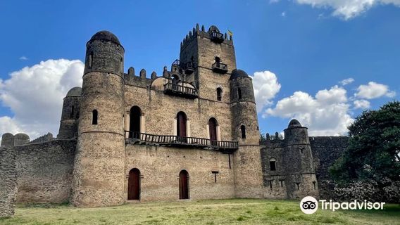 Pure Love Ethiopia Tour & Travel
