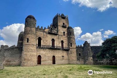 Pure Love Ethiopia Tour & Travel