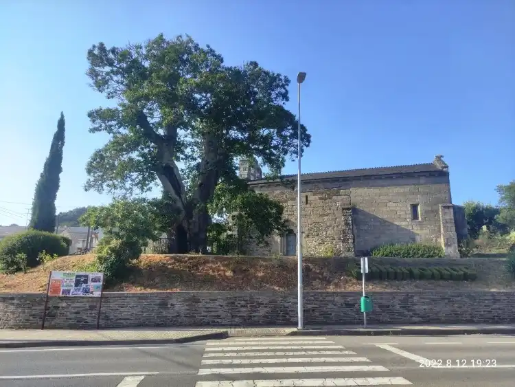 巴阿蒙德住宿飯店