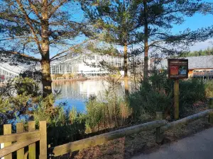 Centre Parcs Whinfell Forest