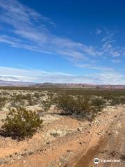 Little Black Mountain Petroglyphs Site