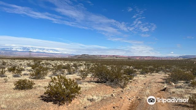 Little Black Mountain Petroglyphs Site