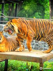 バンドン動物園