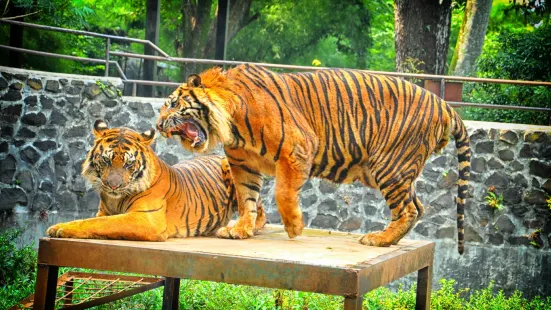 バンドン動物園