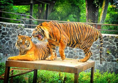 Zoológico de Bandung