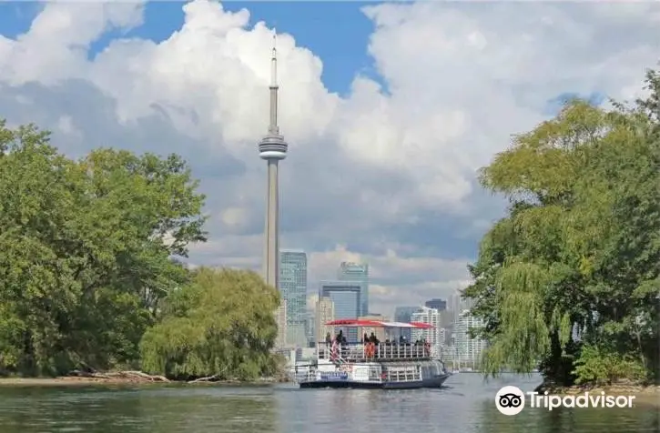 City Sightseeing Toronto