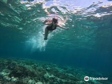 Lembongan Snorkeling Trips