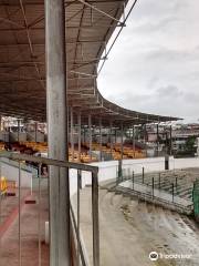 Jawaharlal Nehru Stadium (Polo Ground)