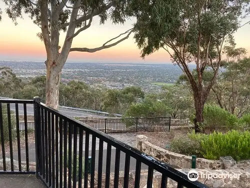 Windy Point Lookout