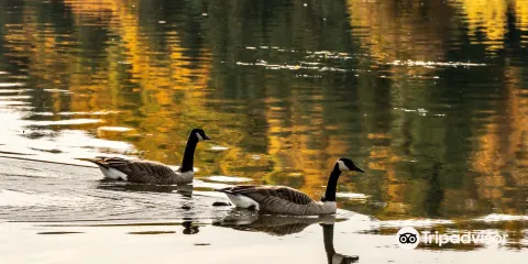 Cheam Lake Wetlands Regional Park