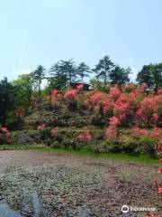 Kurozou Marshland