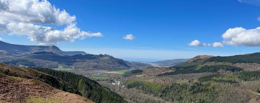 Brithdir and Llanfachreth