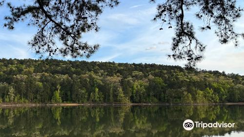 Lake Greeson