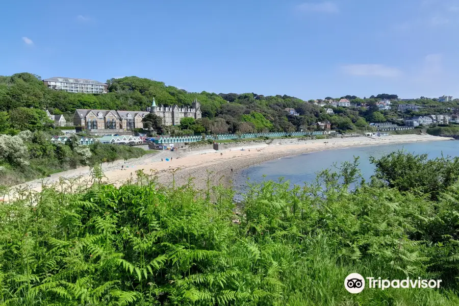 Langland Bay