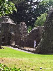 Portumna Friary