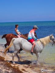 Cayman Horse Riding